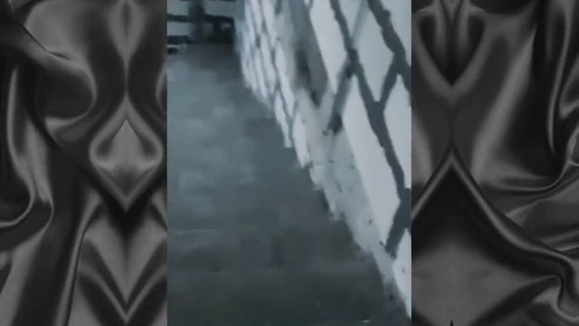 Лестница монолитная из бетона тип зеркальный обзор смотреть онлайн