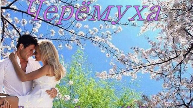 Черёмуха! Владимир Соседов. (Ф. Карманов)