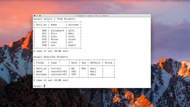 MySQL Tutorial for Beginners 19 - MySQL DESCRIBE Statement