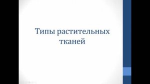 Биология. Объяснение темы "Типы растительных тканей"
