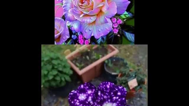 Улыбнись...жизнь прекрасна!??? смотреть онлайн