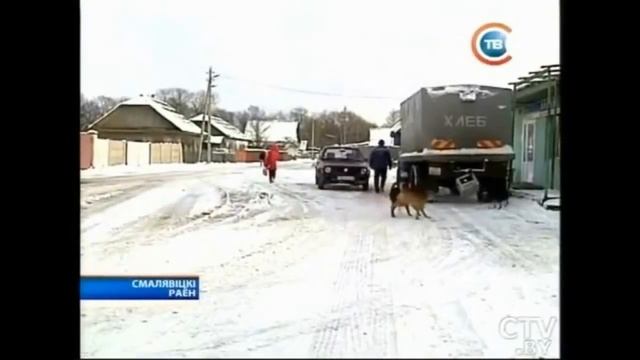 Приют для бездомных собак в г. Смолевичи смотреть онлайн