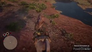 Где найти редкого тигрового мустанга в rdr 2