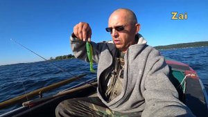 ЩУКА НА МЕЛКОВОДЬЕ. Воблеры или резина?