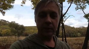 Выращивание грибов Шиитаке