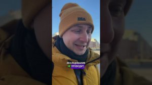 Микродозинг мухоморов: миф или реальность?