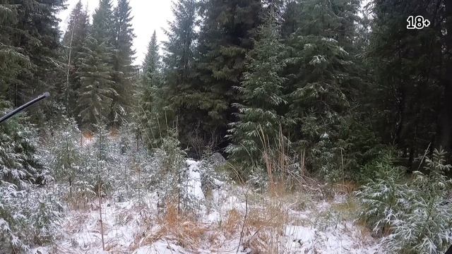 Я по первому снежку, да с собакой в тайгу… смотреть онлайн