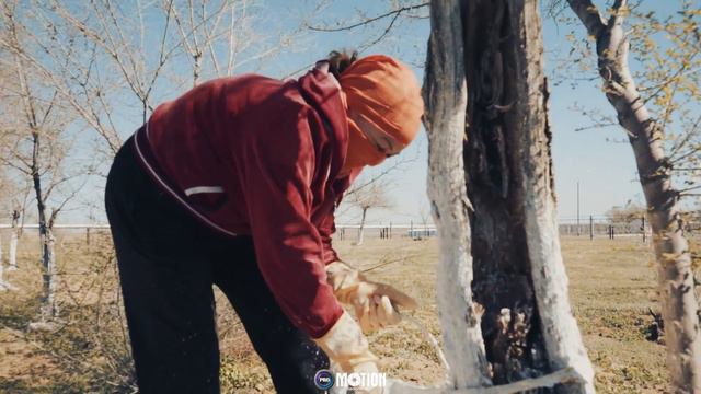 Труд обеспечивает будущее государства! смотреть онлайн