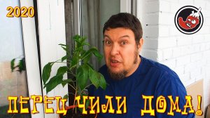 Пересортица, она бывает смешной! Ну и вспомним немного про Рокото