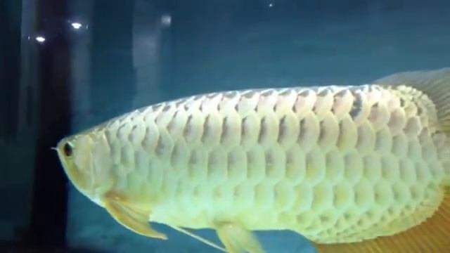 QB 60 смотреть онлайн