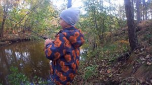 Малая Сестра. г Сестрорецк.. станция Курорт