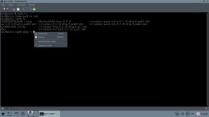 Irbby Web Scanner for Astra Linux. Часть1. Установка и настройка.