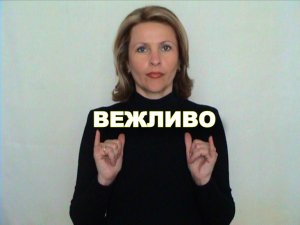 ЖЕСТОВЫЙ ЯЗЫК. СЛОВАРЬ. Вежливо