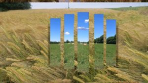 Славония - восток хорватии веселое слайдшоу