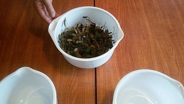 Заготовка листьев брусники. Для долгожителей! смотреть онлайн