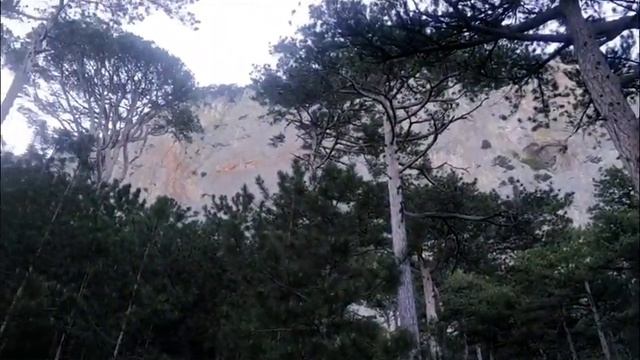 пешком на вершину АЙ-ПЕТРИ! смотреть онлайн