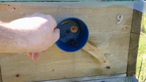 ЛЕТКОВЫЙ ЗАГРАДИТЕЛЬ /советы начинающему пчеловоду