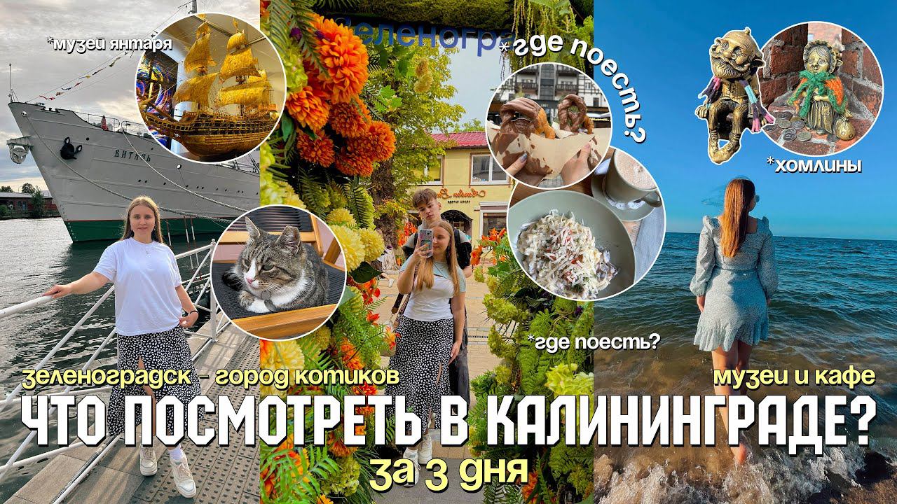 ВЛОГ ПОСЛЕДНИЕ ДНИ ЛЕТА В КАЛИНИНГРАДЕ/что посмотреть за 4 дня/ЗЕЛЕНОГРАДСК/Музей Мирового океана