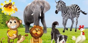 Научитесь любить животных, изучите звуки животных собака, кошка, лошадь, слон, корова, обезьяна...
