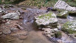 РЕКА КУРДЖИПС