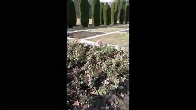 Долина роз в ноябре.  Кисловодск