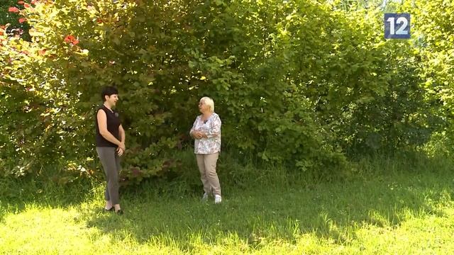 Дачные советы: совместимость растений
