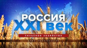 Сельское хозяйство. Наше производство. Россия: XXI век