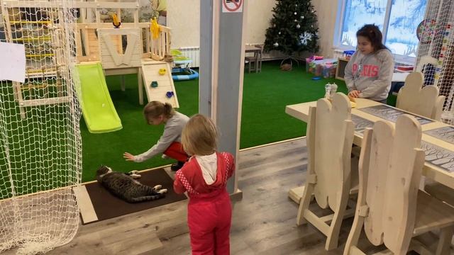 Фэмили Драйв. Коробицыно. Золотая Долина. Выходные за городом в Снежной сказке смотреть онлайн