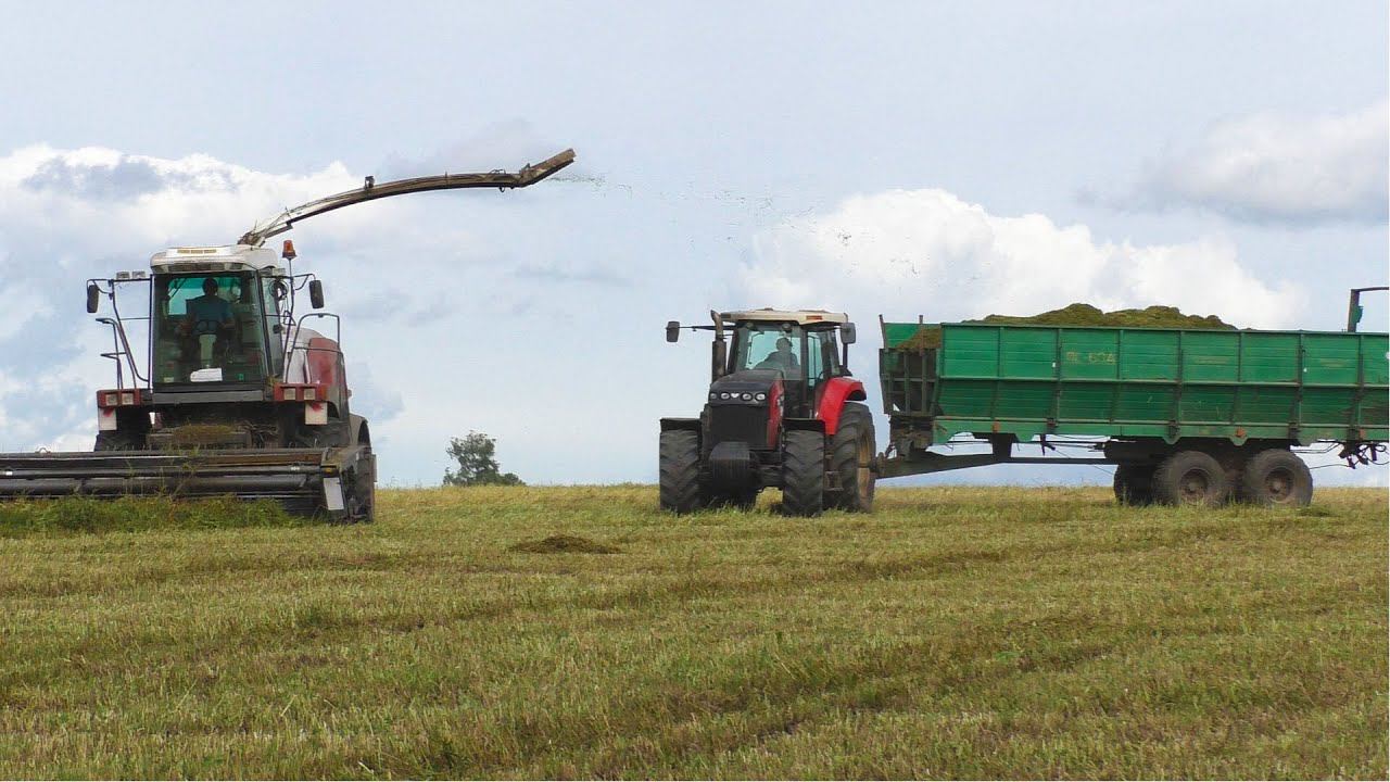 Заготовка силоса в соседнем хозяйстве на технике Ростсельмаш смотреть онлайн