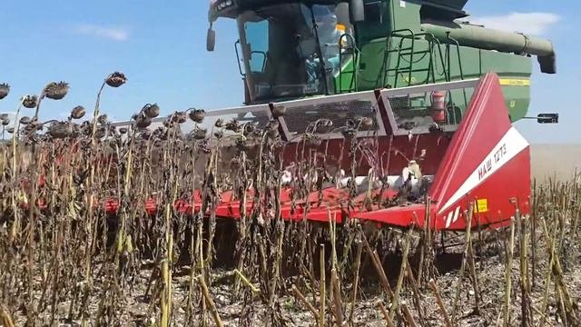 Жатка НАШ для уборки подсолнечника производство Новосибирск