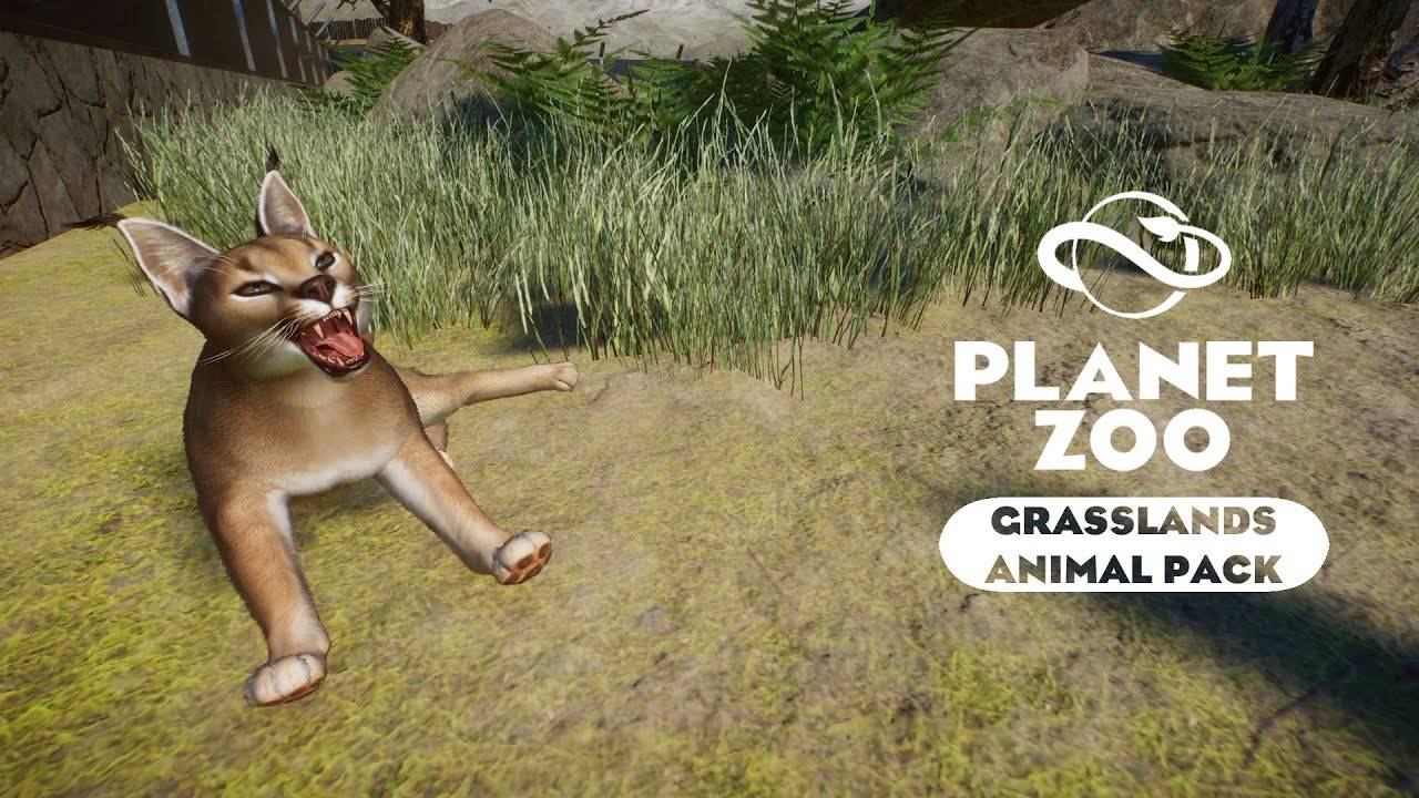 Planet Zoo: Grasslands Animal Pack - Каракал