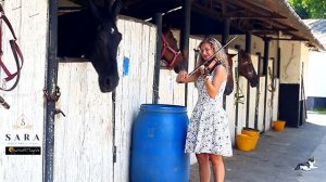 Sara Stroici - Lullaby for horses