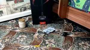 ✅ОБЗОР✅ Вертикальный пылесос RED MAGNUM COLLECTION RV- UR 37