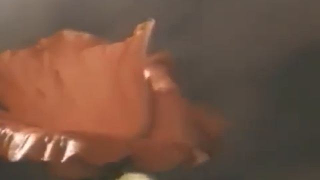 Движение растений тропизмы, настии