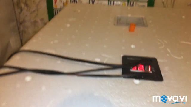 Затяжное вылупление перепелят ,вторые сутки! смотреть онлайн