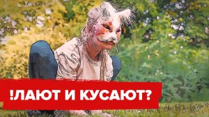 Лают и кусают - интервью с квадроберами