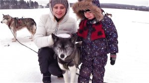 Макс в Хаски центре - Поезд перегородил дорогу - Видео для детей