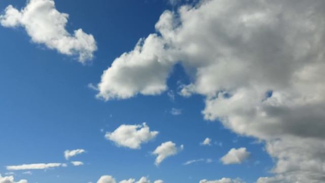 25 августа 2020 г. смотреть онлайн