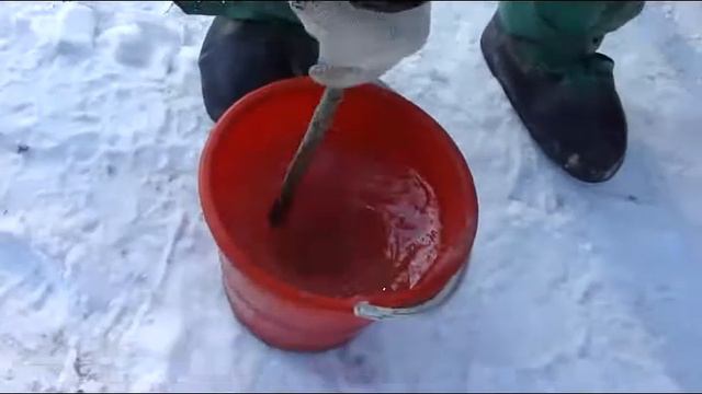 Степа и клей смотреть онлайн