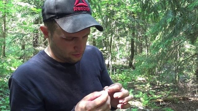 Что скрывают леса Подмосковья. Золотая лихорадка.