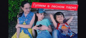 Развлечения в Горкинско-Ометьевском лесу