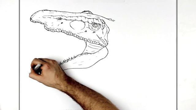 How To Draw Baryonyx | Step By Step