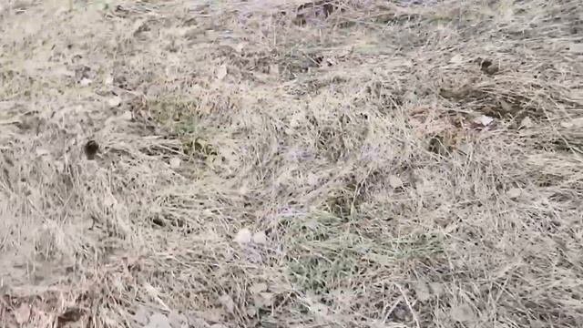 Обзор металоискателя с алиэкспресс