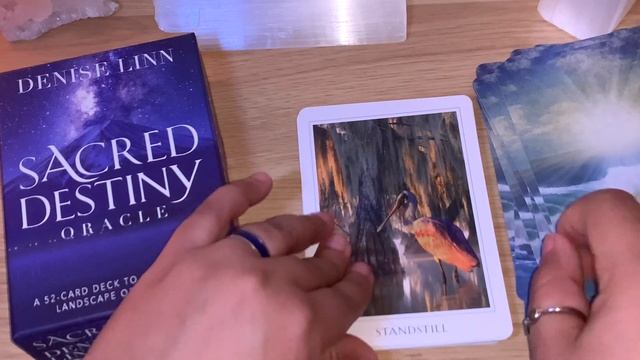 ?SACRED DESTINY ORACLE Reading, Review & Flip Through! смотреть онлайн