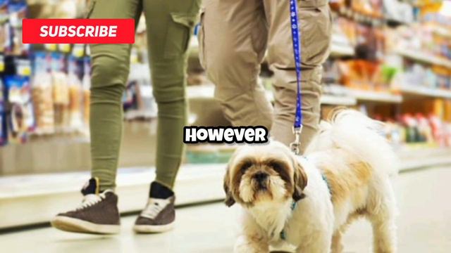 🤣BEST JOKE OF THE DAY | NEW YEAR 2024 | FUNNY JOKES смотреть онлайн