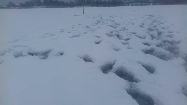 30 декабря 2018 г. смотреть онлайн