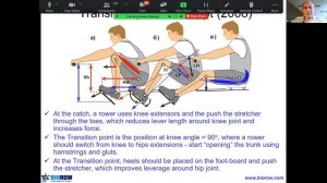 2022 Coaches Conference : Rowing Styles : What is the Most Optimal Style & Considerations?