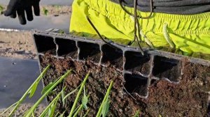 посадка ПЕРЦА в открытый грунт