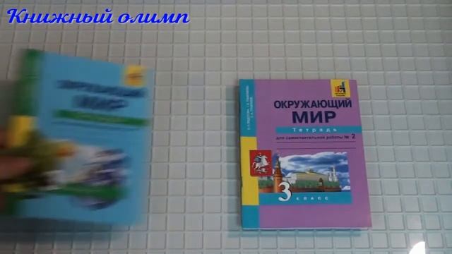 Рабочие тетради. Окружающий мир по программе Перспективная начальная школа ПНШ 3 класс