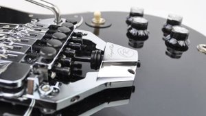 Floyd Rose FRX Surface Mount Tremolo System